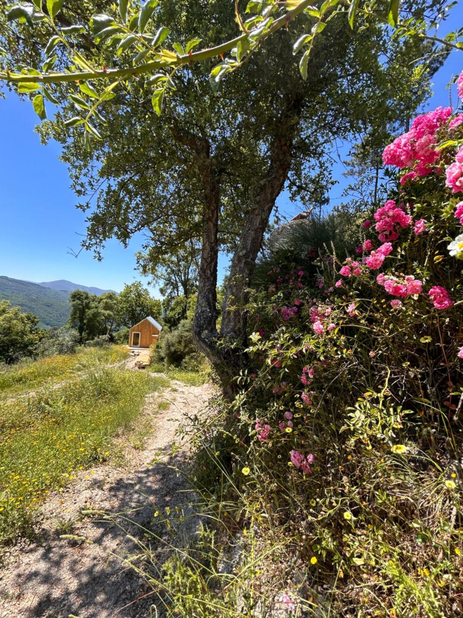 Villa Monkey Tiny Barnhouse With Amazing Views! Folhadosa Esterno foto