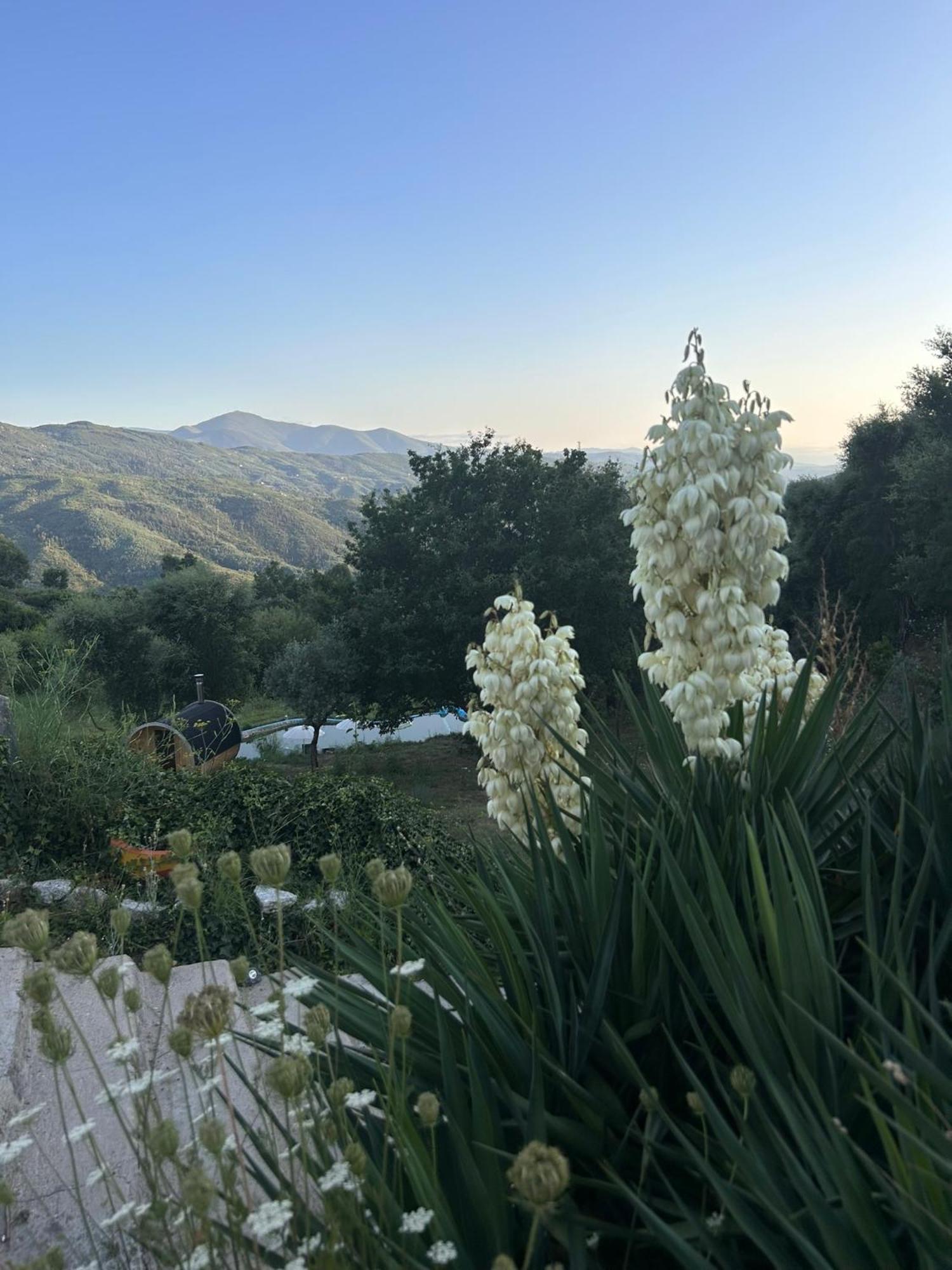 Villa Monkey Tiny Barnhouse With Amazing Views! Folhadosa Esterno foto